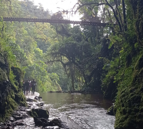 Catarata Rio Tigre