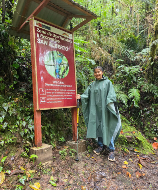 Parque nacional Yanachaga Chemillén