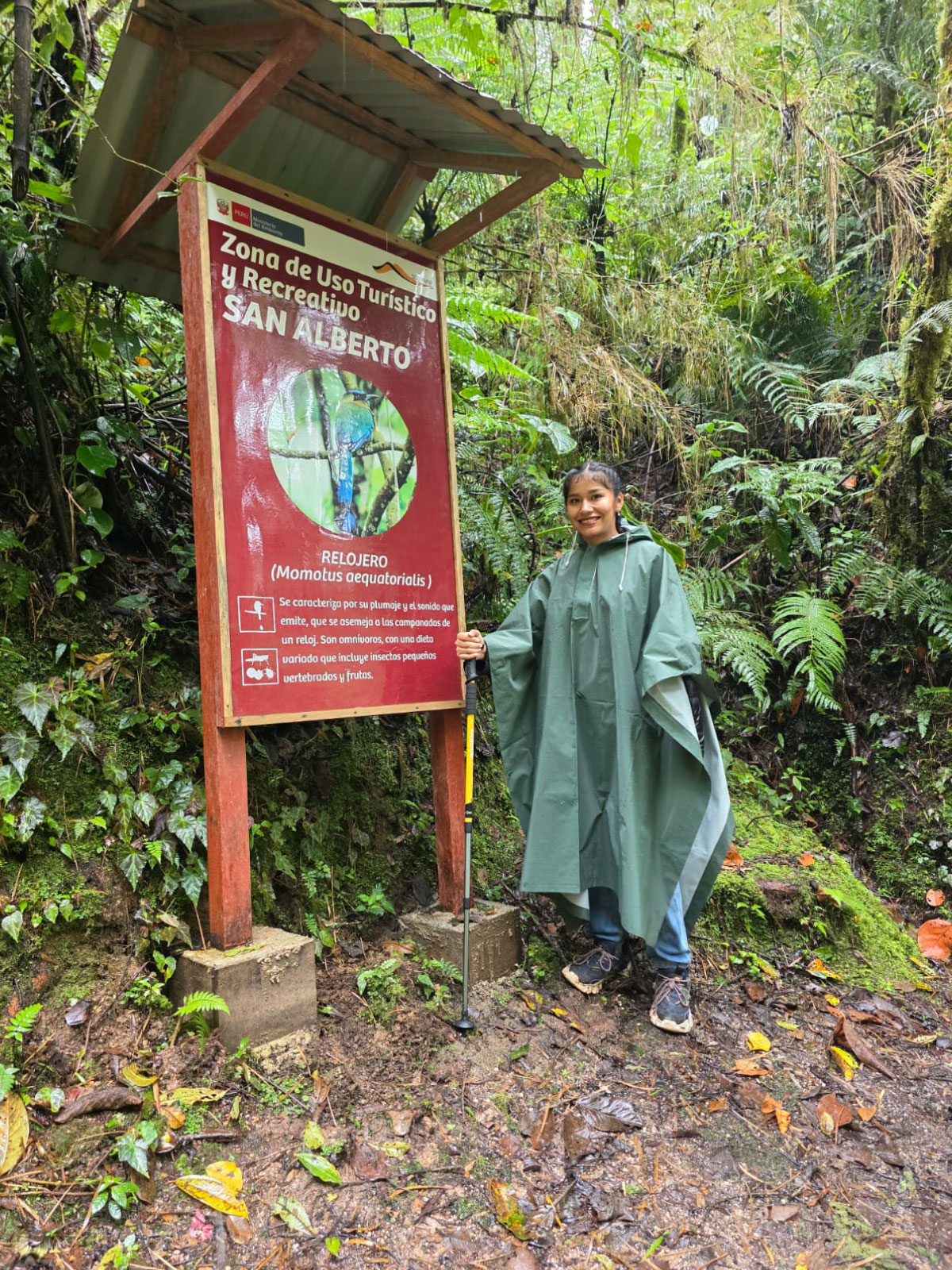 Parque nacional Yanachaga Chemillén