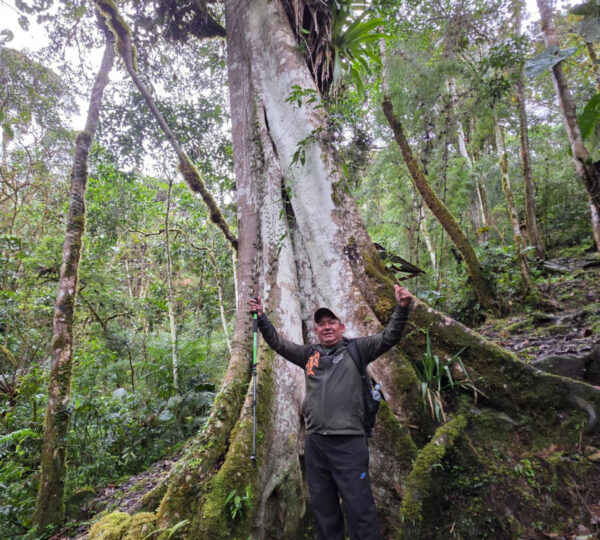 Parque nacional Yanachaga Chemillén