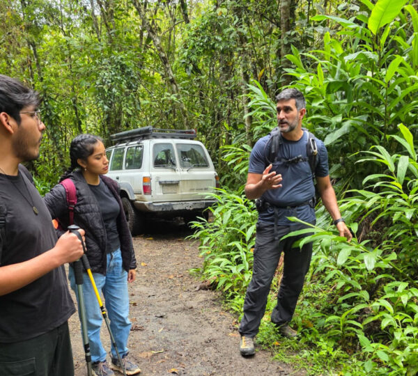 Parque nacional Yanachaga Chemillén