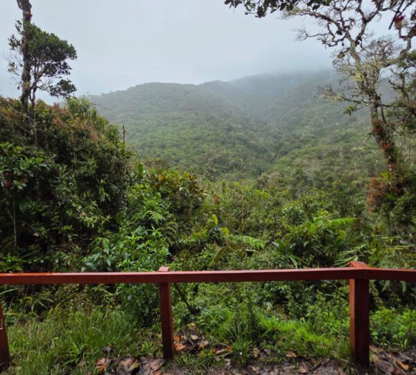 Parque nacional Yanachaga Chemillén