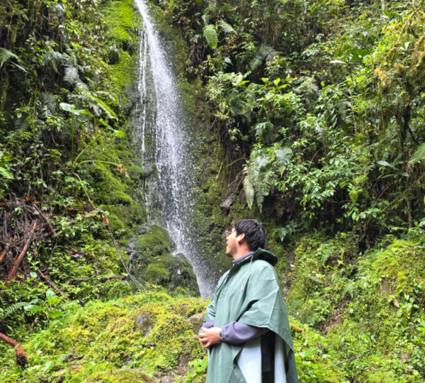 Parque nacional Yanachaga Chemillén