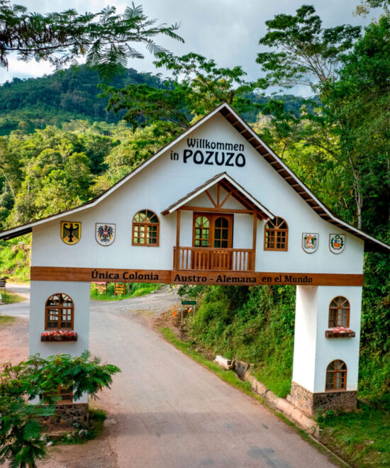 Pozuzo