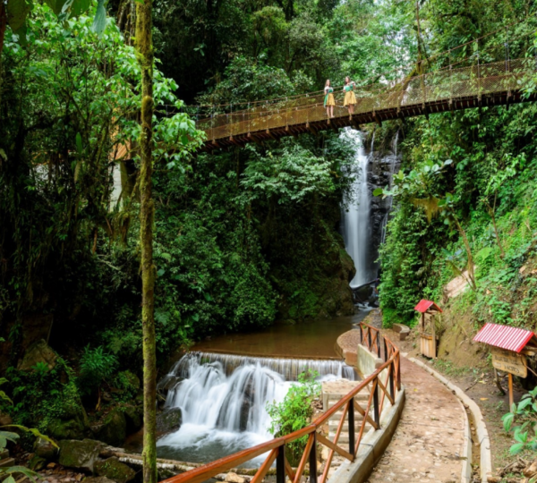 Rio Tigre