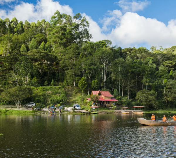 Laguna