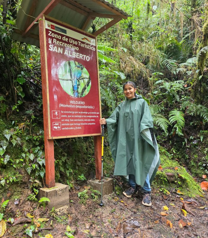 Parque nacional Yanachaga Chemillén (16)